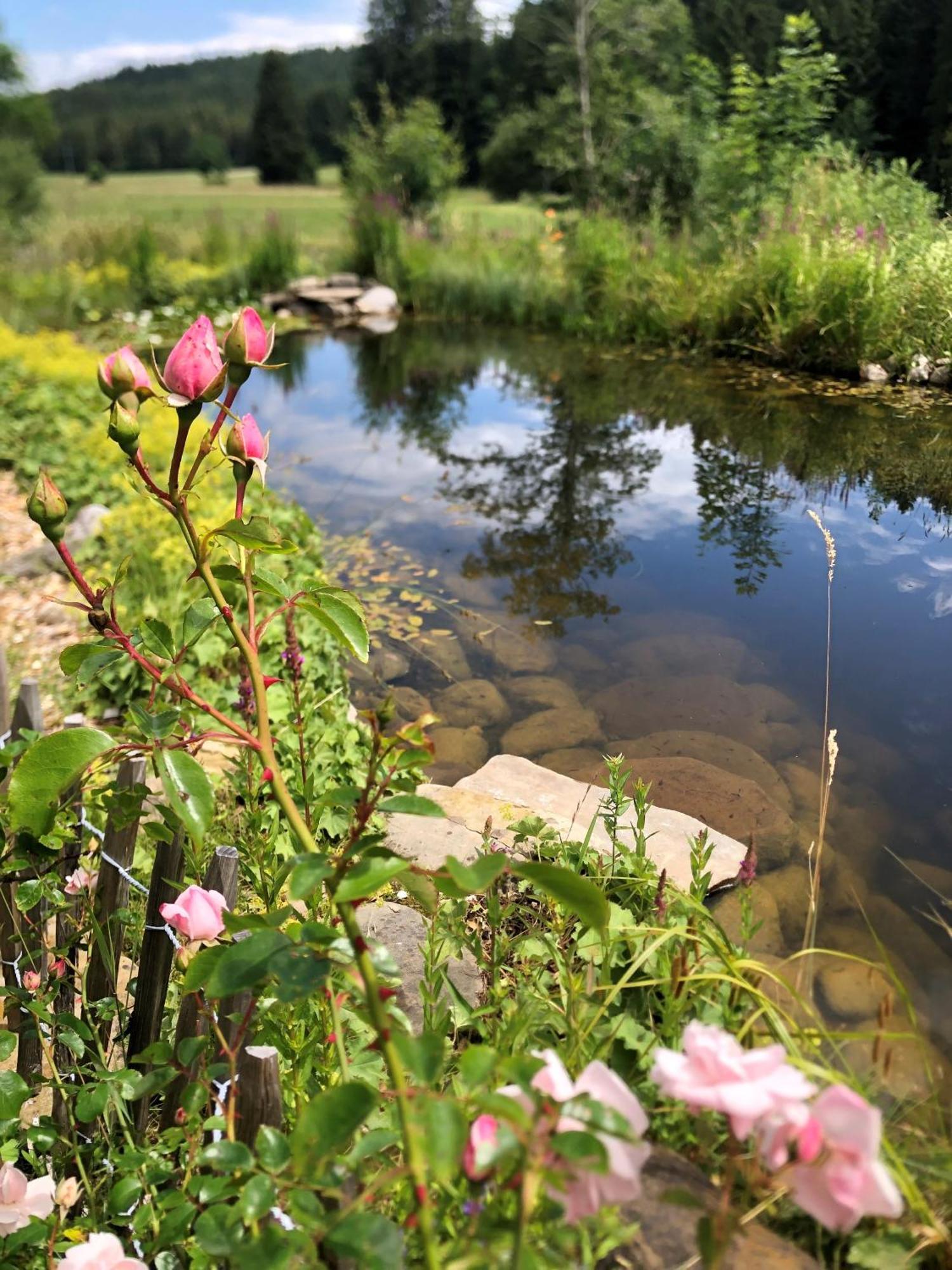 Buchenberg  Natur- & Aktivoase מראה חיצוני תמונה